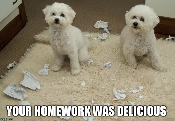 Dog Ate Homework | YOUR HOMEWORK WAS DELICIOUS | image tagged in dog ate homework | made w/ Imgflip meme maker