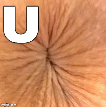  You Asshole! | U | image tagged in you asshole,u asshole,asshole | made w/ Imgflip meme maker