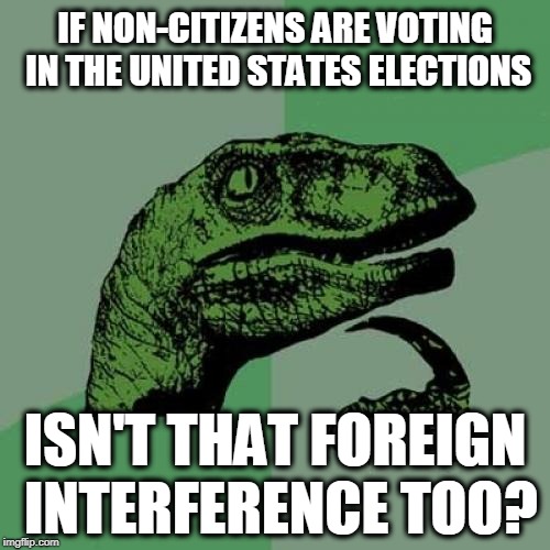 Philosoraptor Meme | IF NON-CITIZENS ARE VOTING IN THE UNITED STATES ELECTIONS; ISN'T THAT FOREIGN INTERFERENCE TOO? | image tagged in memes,philosoraptor | made w/ Imgflip meme maker