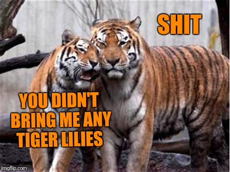 YOU DIDN'T BRING ME ANY TIGER LILIES SHIT | made w/ Imgflip meme maker