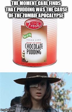 THE MOMENT CARL FINDS THAT PUDDING WAS THE CAUSE OF THE ZOMBIE APOCALYPSE | image tagged in the walking dead | made w/ Imgflip meme maker