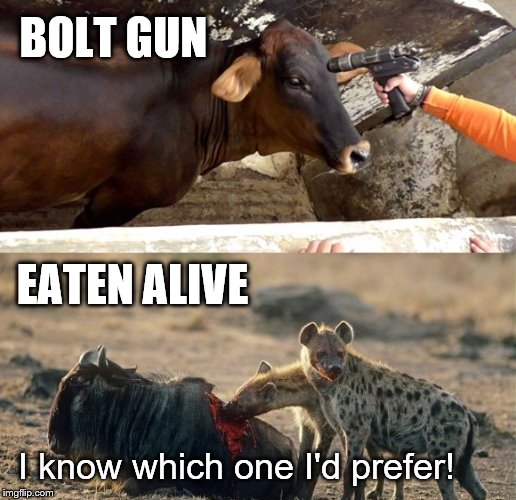 Vegan Logic |  BOLT GUN; EATEN ALIVE; I know which one I'd prefer! | image tagged in vegan,veganism,vegan4life,vegans,vegans do everthing better even fart,vegan logic | made w/ Imgflip meme maker