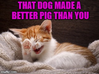 THAT DOG MADE A BETTER PIG THAN YOU | made w/ Imgflip meme maker
