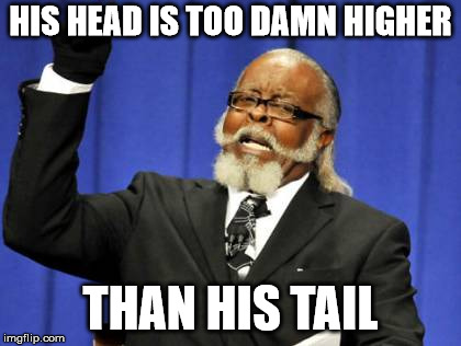 Too Damn High Meme | HIS HEAD IS TOO DAMN HIGHER THAN HIS TAIL | image tagged in memes,too damn high | made w/ Imgflip meme maker