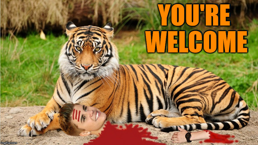 You're welcome. Tiger Week 2018, July 29 - August 5, a TigerLegend1046 event | YOU'RE WELCOME | image tagged in memes,tiger week 2018,tiger week,tigerlegend1046,justin bieber,you're welcome | made w/ Imgflip meme maker