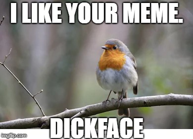 I LIKE YOUR MEME. DICKFACE | made w/ Imgflip meme maker