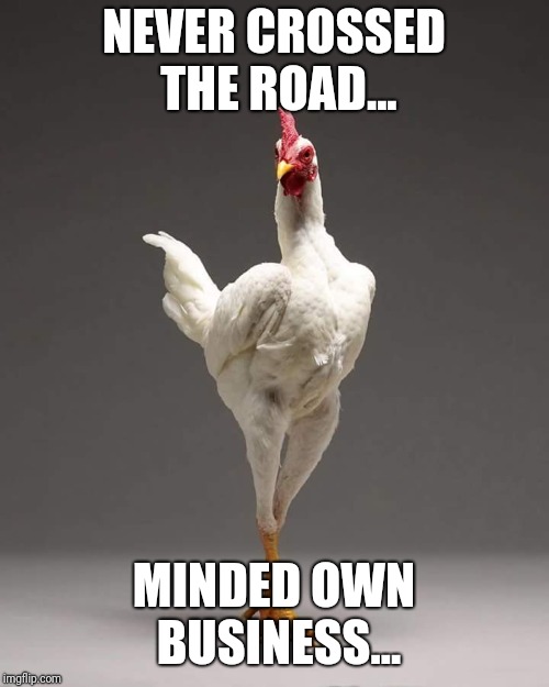 Chicken crossing road | NEVER CROSSED THE ROAD... MINDED OWN BUSINESS... | image tagged in chicken,mind own business,myob,chicken crosses the road,mind your own business,fuck off | made w/ Imgflip meme maker