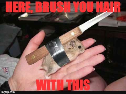 Lock and Load Hamster | HERE, BRUSH YOU HAIR WITH THIS | image tagged in lock and load hamster | made w/ Imgflip meme maker