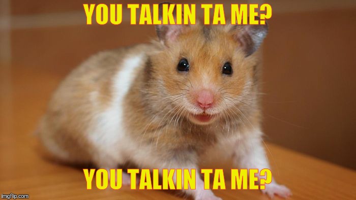 YOU TALKIN TA ME? YOU TALKIN TA ME? | made w/ Imgflip meme maker