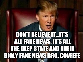 Donald Trump | DON'T BELIEVE IT...IT'S ALL FAKE NEWS. IT'S ALL THE DEEP STATE AND THEIR BIGLY FAKE NEWS BRO. COVFEFE | image tagged in donald trump | made w/ Imgflip meme maker