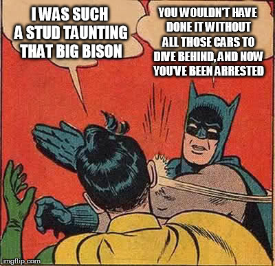 Batman Slapping Robin Meme | I WAS SUCH A STUD TAUNTING THAT BIG BISON YOU WOULDN'T HAVE DONE IT WITHOUT ALL THOSE CARS TO DIVE BEHIND, AND NOW YOU'VE BEEN ARRESTED | image tagged in memes,batman slapping robin | made w/ Imgflip meme maker