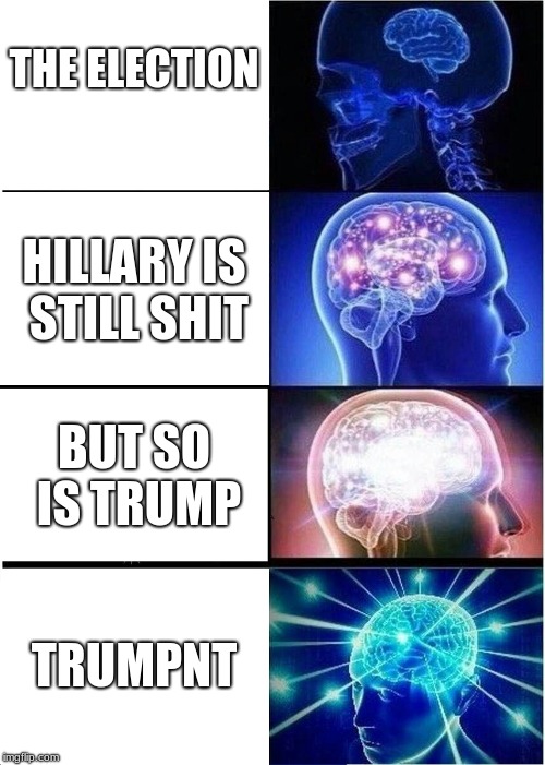 Expanding Brain Meme | THE ELECTION; HILLARY IS STILL SHIT; BUT SO IS TRUMP; TRUMPNT | image tagged in memes,expanding brain | made w/ Imgflip meme maker