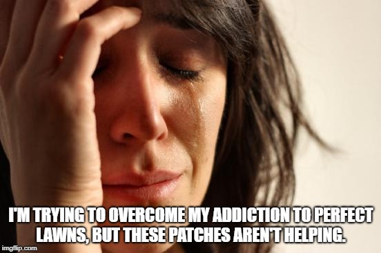 First World Problems Meme | I'M TRYING TO OVERCOME MY ADDICTION TO PERFECT LAWNS, BUT THESE PATCHES AREN'T HELPING. | image tagged in memes,first world problems | made w/ Imgflip meme maker