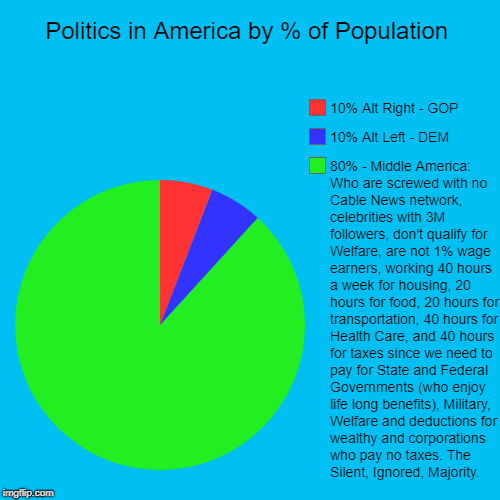 Politics in America by % of Population | 80% - Middle America: Who are screwed with no Cable News network, celebrities with 3M followers, do | image tagged in funny,pie charts | made w/ Imgflip chart maker