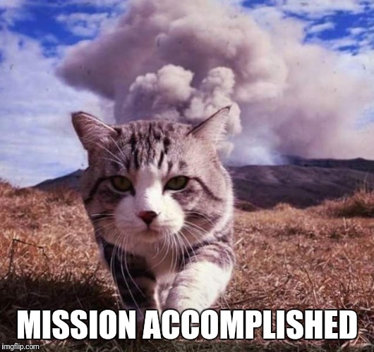 Mission accomplished | MISSION ACCOMPLISHED | image tagged in funny cat,mission accomplished,terrorist cat | made w/ Imgflip meme maker