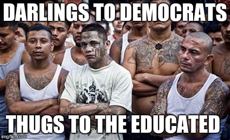 MS13 Family Pic | DARLINGS TO DEMOCRATS; THUGS TO THE EDUCATED | image tagged in ms13 family pic | made w/ Imgflip meme maker