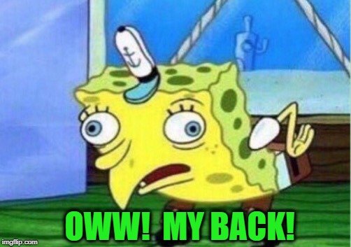 Mocking Spongebob Meme | OWW!  MY BACK! | image tagged in memes,mocking spongebob | made w/ Imgflip meme maker