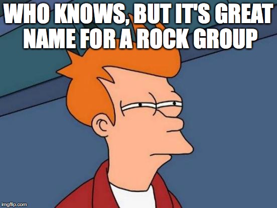 Futurama Fry Meme | WHO KNOWS, BUT IT'S GREAT NAME FOR A ROCK GROUP | image tagged in memes,futurama fry | made w/ Imgflip meme maker