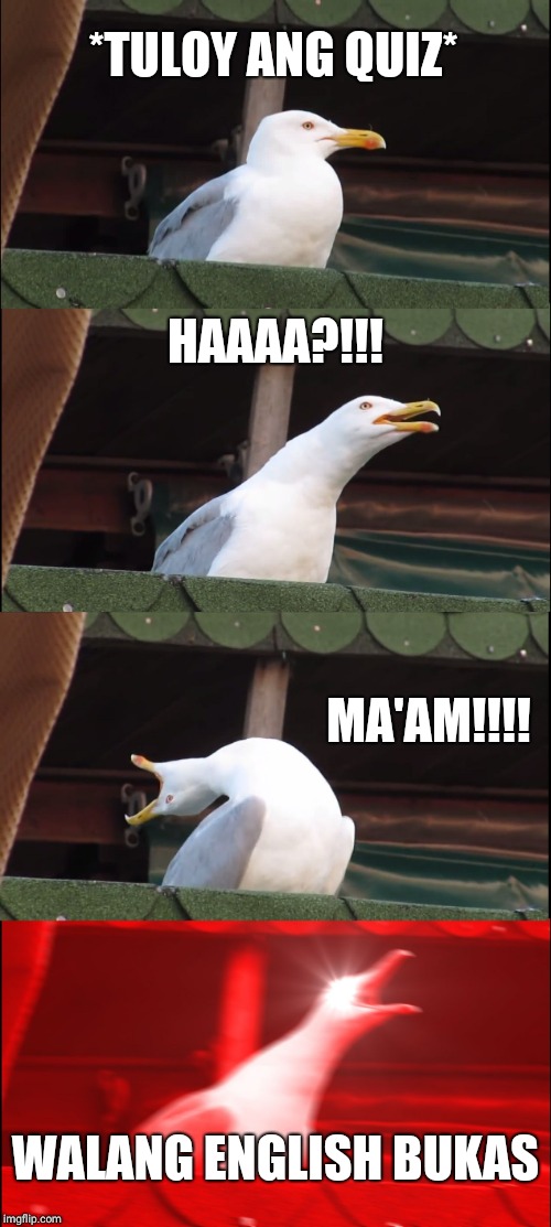 Inhaling Seagull | *TULOY ANG QUIZ*; HAAAA?!!! MA'AM!!!! WALANG ENGLISH BUKAS | image tagged in memes,inhaling seagull | made w/ Imgflip meme maker
