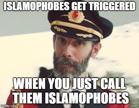 Islamophobes | ISLAMOPHOBES GET TRIGGERED; WHEN YOU JUST CALL THEM ISLAMOPHOBES | image tagged in captain obvious,islamophobia,trigger,triggered | made w/ Imgflip meme maker