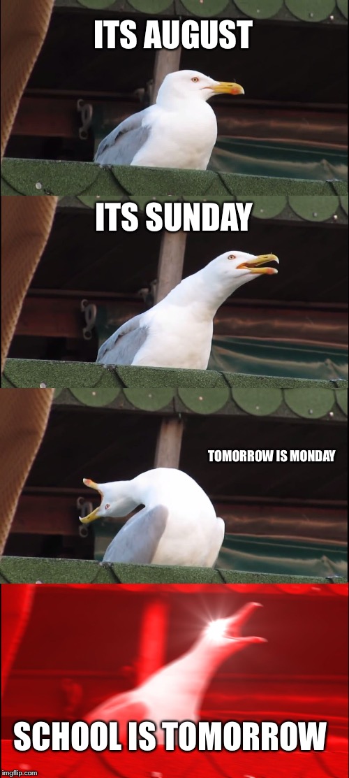 Inhaling Seagull Meme | ITS AUGUST; ITS SUNDAY; TOMORROW IS MONDAY; SCHOOL IS TOMORROW | image tagged in memes,inhaling seagull | made w/ Imgflip meme maker