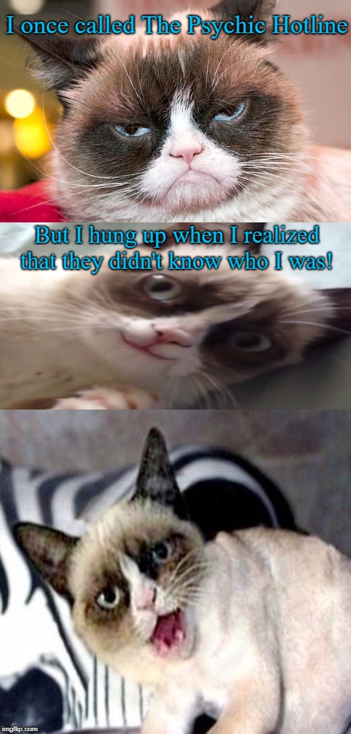 LOL  | I once called The Psychic Hotline; But I hung up when I realized that they didn't know who I was! | image tagged in bad pun grumpy cat,psychic hotline,joke,grumpy cat | made w/ Imgflip meme maker