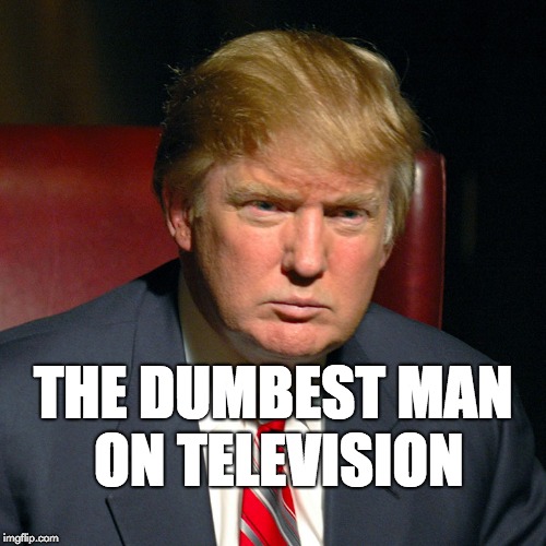 The dumbest man on television. | THE DUMBEST MAN ON TELEVISION | image tagged in donald trump,trump,dumb,dumbass,maga | made w/ Imgflip meme maker