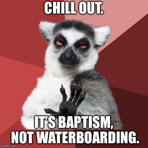 Waterboarding the Baptist | CHILL OUT. IT’S BAPTISM, NOT WATERBOARDING. | image tagged in memes,chill out lemur,baptism,waterboarding,religion,water | made w/ Imgflip meme maker