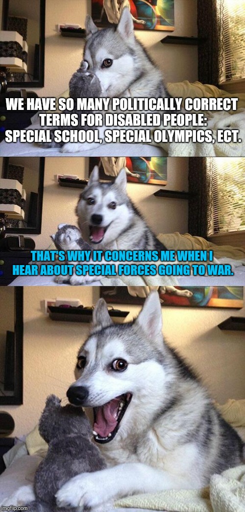 Think about it... | WE HAVE SO MANY POLITICALLY CORRECT TERMS FOR DISABLED PEOPLE: SPECIAL SCHOOL, SPECIAL OLYMPICS, ECT. THAT'S WHY IT CONCERNS ME WHEN I HEAR ABOUT SPECIAL FORCES GOING TO WAR. | image tagged in memes,bad pun dog,funny,punny,terrible | made w/ Imgflip meme maker