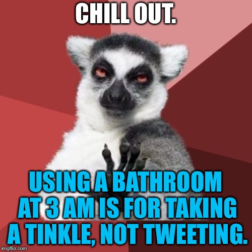 Tinkle Tweet | CHILL OUT. USING A BATHROOM AT 3 AM IS FOR TAKING A TINKLE, NOT TWEETING. | image tagged in memes,chill out lemur,trump twitter,bathroom humor,peeing,addict | made w/ Imgflip meme maker