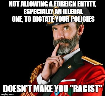 captain obvious | NOT ALLOWING A FOREIGN ENTITY, ESPECIALLY AN ILLEGAL ONE, TO DICTATE YOUR POLICIES DOESN'T MAKE YOU "RACIST" | image tagged in captain obvious | made w/ Imgflip meme maker