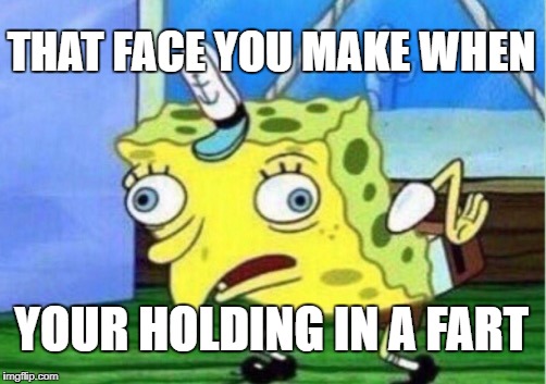 Mocking Spongebob Meme |  THAT FACE YOU MAKE WHEN; YOUR HOLDING IN A FART | image tagged in memes,mocking spongebob | made w/ Imgflip meme maker