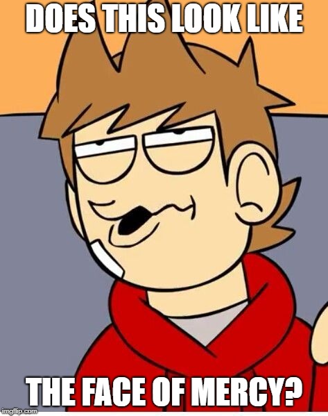Eddsworld | DOES THIS LOOK LIKE; THE FACE OF MERCY? | image tagged in eddsworld | made w/ Imgflip meme maker