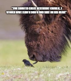 Another Mr. Bison | "YOU SHOWED GREAT RESTRAINT CHARLIE, I WOULD HAVE FLOWN DOWN AND SHIT ON HIS HEAD!" | image tagged in bird and bison | made w/ Imgflip meme maker