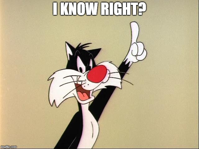 sylvester | I KNOW RIGHT? | image tagged in sylvester | made w/ Imgflip meme maker