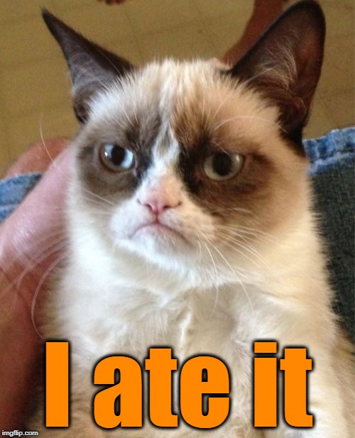 Grumpy Cat Meme | I ate it | image tagged in memes,grumpy cat | made w/ Imgflip meme maker