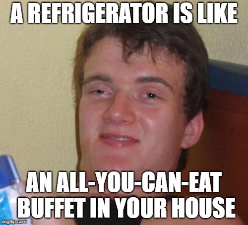 10 Guy Meme | A REFRIGERATOR IS LIKE; AN ALL-YOU-CAN-EAT BUFFET IN YOUR HOUSE | image tagged in memes,10 guy | made w/ Imgflip meme maker
