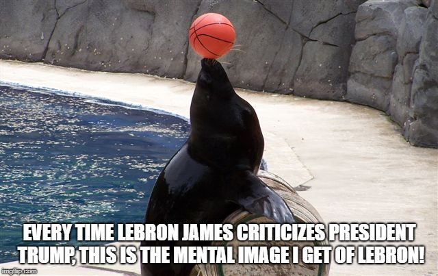 Lebron James | EVERY TIME LEBRON JAMES CRITICIZES PRESIDENT TRUMP, THIS IS THE MENTAL IMAGE I GET OF LEBRON! | image tagged in criticizes trump,president,trump,seal | made w/ Imgflip meme maker