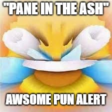 Laughing crying emoji with open eyes  | "PANE IN THE ASH" AWSOME PUN ALERT | image tagged in laughing crying emoji with open eyes | made w/ Imgflip meme maker