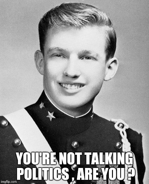 YOU'RE NOT TALKING POLITICS , ARE YOU ? | image tagged in young donald trump | made w/ Imgflip meme maker