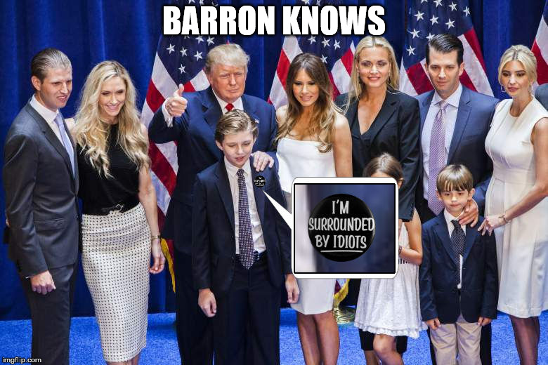 considered the most intelligent first son in the White House in a long time | BARRON KNOWS | image tagged in barron trump,donald trump,intelligence,first son | made w/ Imgflip meme maker