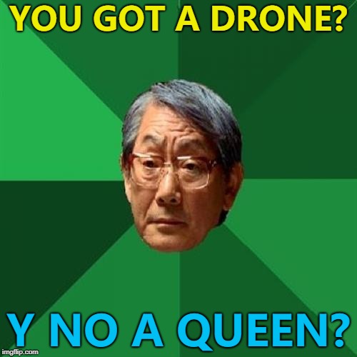Drone bee, Queen bee... :) | YOU GOT A DRONE? Y NO A QUEEN? | image tagged in memes,high expectations asian father,drone,bees | made w/ Imgflip meme maker