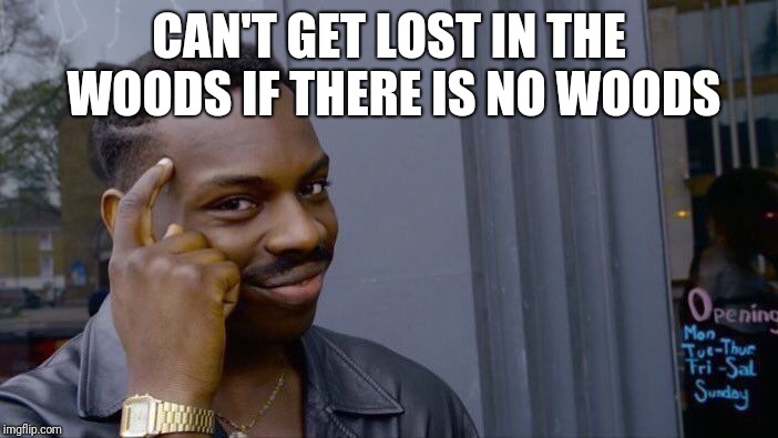 Roll Safe Think About It Meme | CAN'T GET LOST IN THE WOODS IF THERE IS NO WOODS | image tagged in memes,roll safe think about it | made w/ Imgflip meme maker