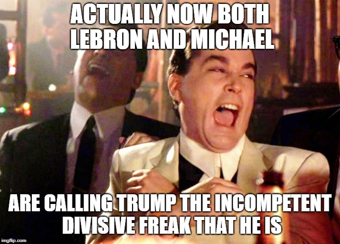 Good Fellas Hilarious Meme | ACTUALLY NOW BOTH LEBRON AND MICHAEL ARE CALLING TRUMP THE INCOMPETENT DIVISIVE FREAK THAT HE IS | image tagged in memes,good fellas hilarious | made w/ Imgflip meme maker