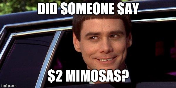 dumb and dumber | DID SOMEONE SAY; $2 MIMOSAS? | image tagged in dumb and dumber | made w/ Imgflip meme maker