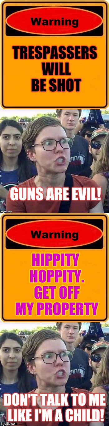 TRESPASSERS WILL BE SHOT; GUNS ARE EVIL! HIPPITY HOPPITY. GET OFF MY PROPERTY; DON'T TALK TO ME LIKE I'M A CHILD! | image tagged in warning sign | made w/ Imgflip meme maker