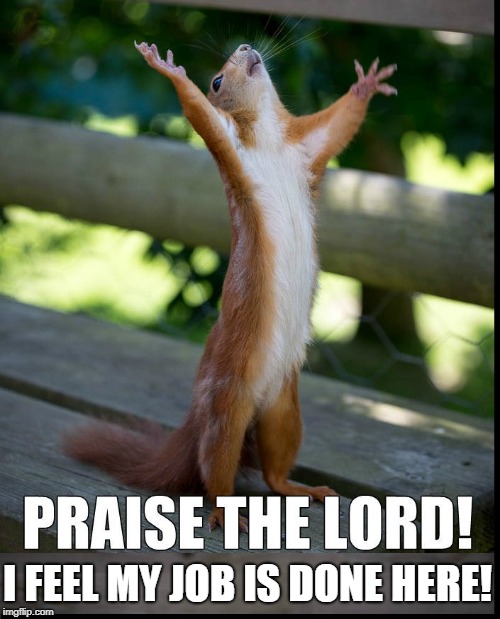 Can I Have an Amen? | I FEEL MY JOB IS DONE HERE! | image tagged in vince vance,squirrels,ptl,funny animals,animal meme,praise squirrel | made w/ Imgflip meme maker