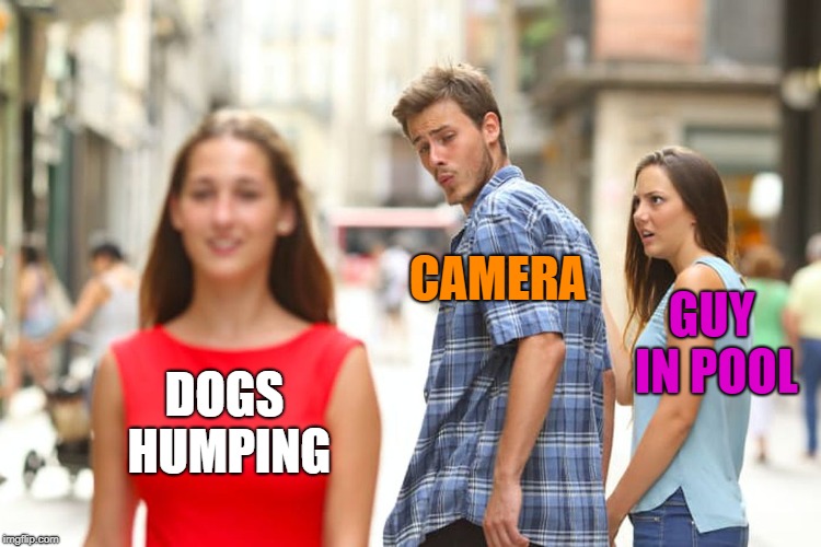 Distracted Boyfriend Meme | DOGS HUMPING CAMERA GUY IN POOL | image tagged in memes,distracted boyfriend | made w/ Imgflip meme maker