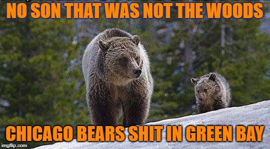 NO SON THAT WAS NOT THE WOODS; CHICAGO BEARS SHIT IN GREEN BAY | image tagged in bears,chicago bears,green bay,packers,green bay packers | made w/ Imgflip meme maker
