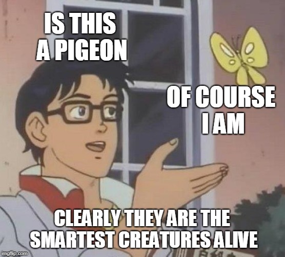 Is This A Pigeon Meme | IS THIS A PIGEON; OF COURSE I AM; CLEARLY THEY ARE THE SMARTEST CREATURES ALIVE | image tagged in memes,is this a pigeon | made w/ Imgflip meme maker